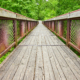 Image of Low angle on gorgeous bridge leading into lush green forest with trail at Bernheim Forest park