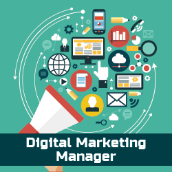 Explore an exciting career: digital marketing manager