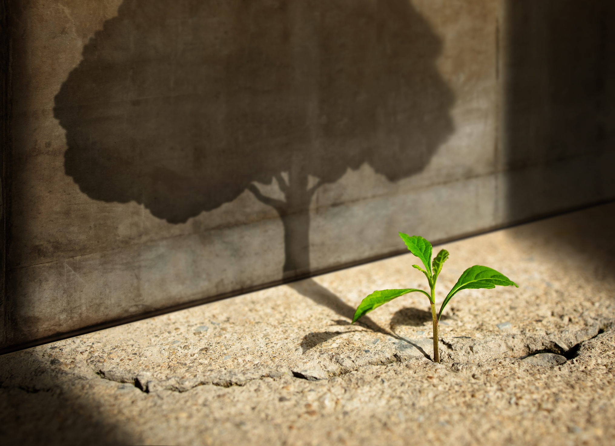 Inspire radical hope in your school