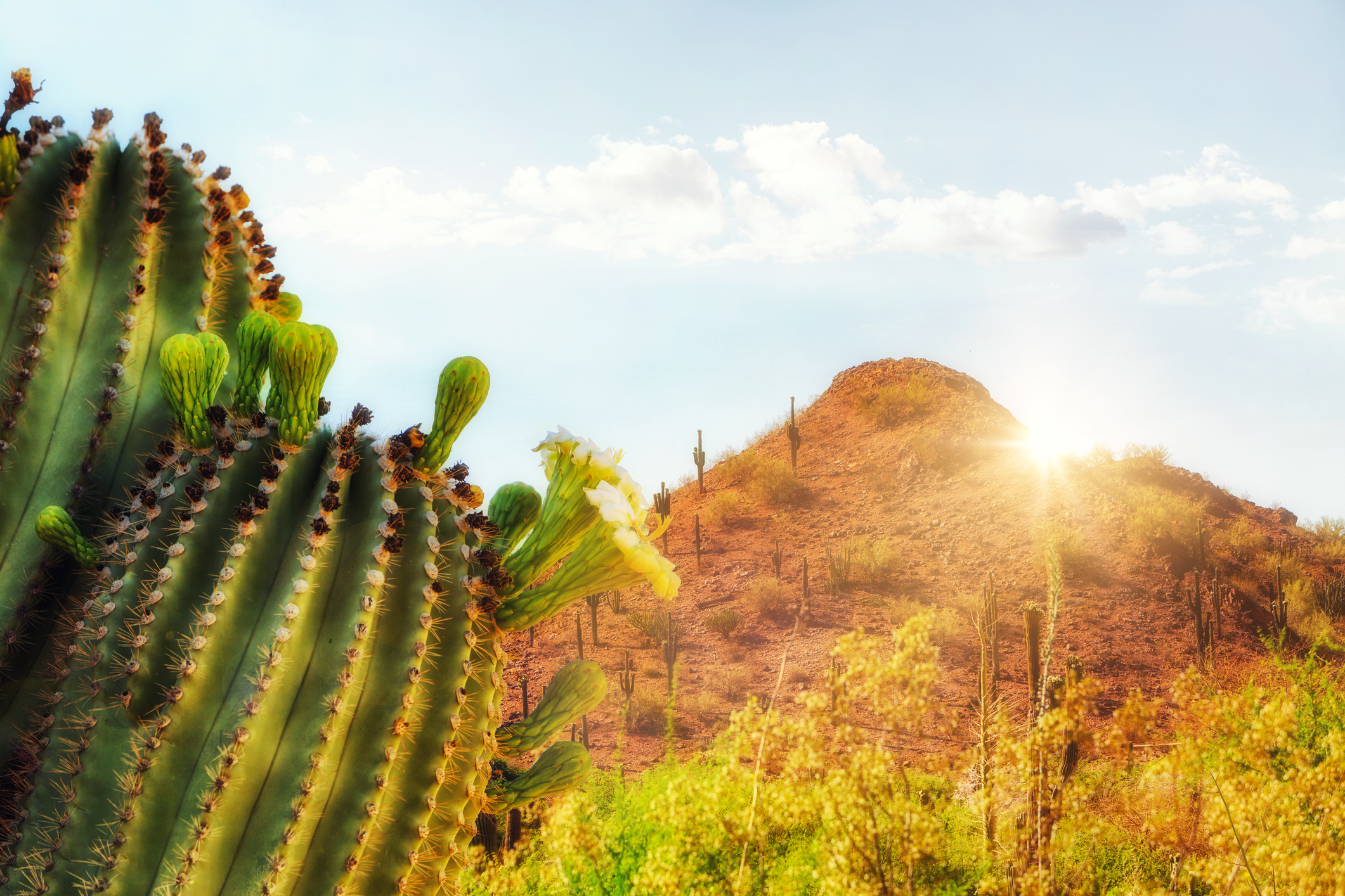 Soak up the sun at VISION