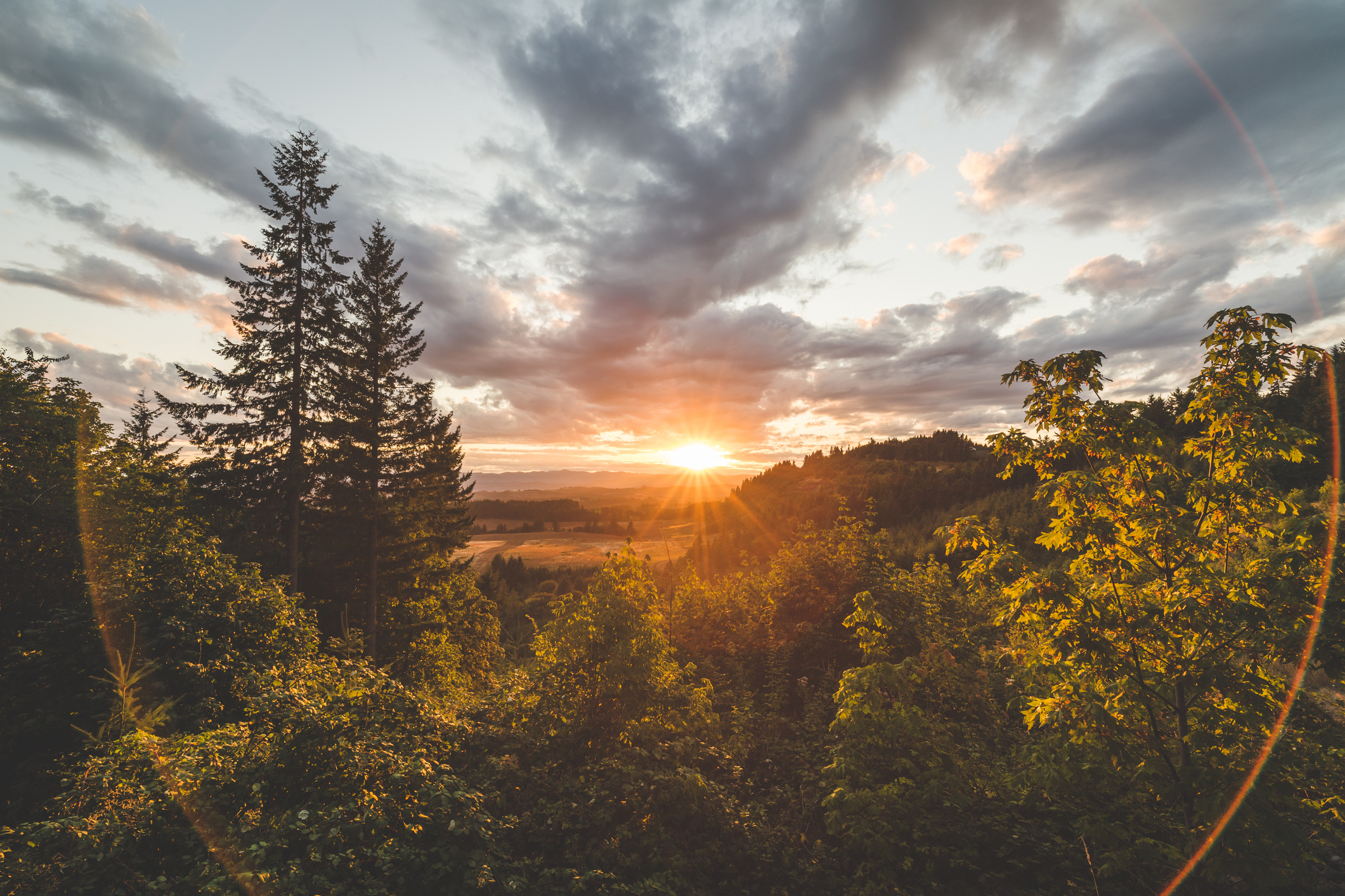 Explore Careers in the Great Outdoors