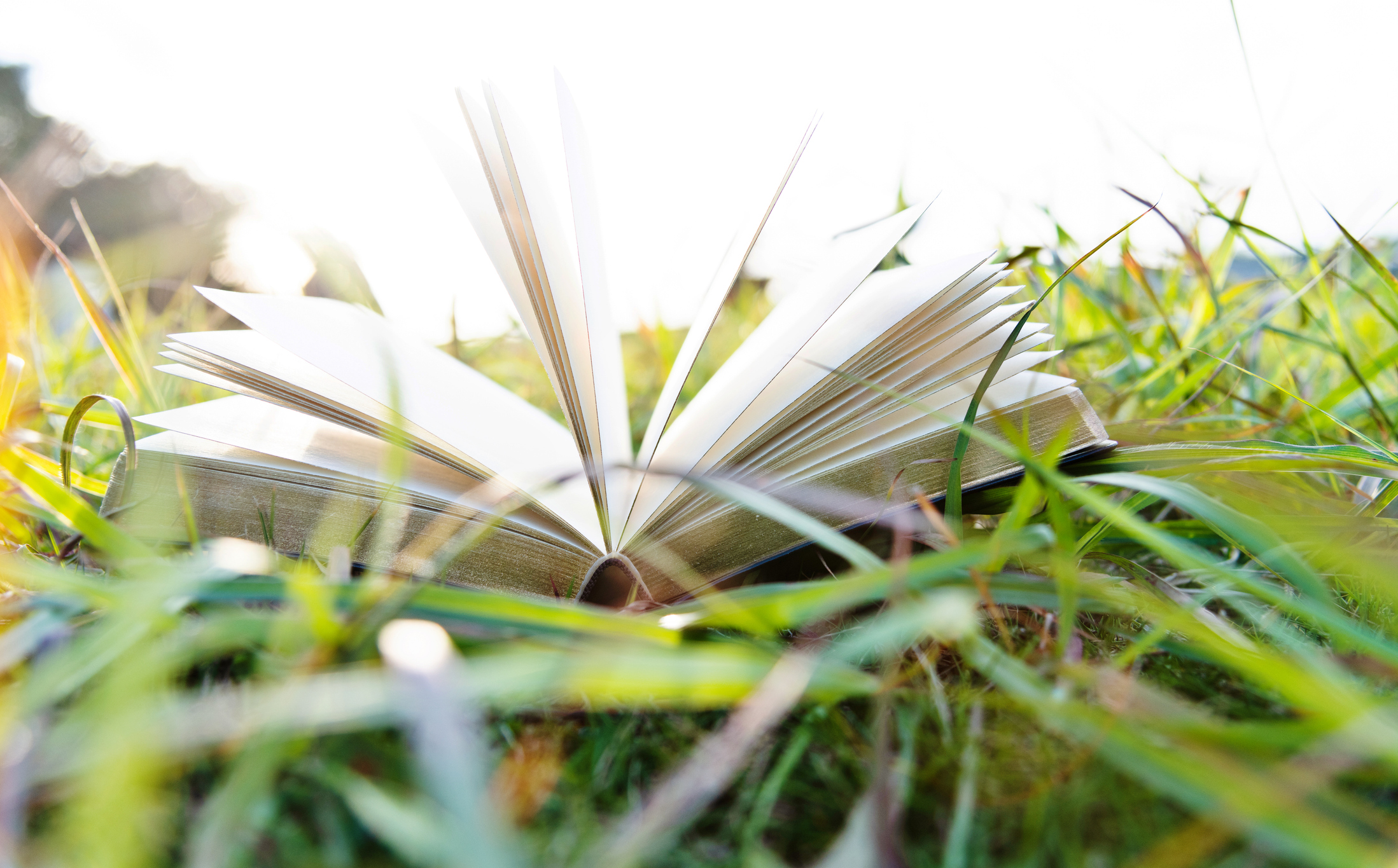 Summer CTE Reads: Techniques Year in Review