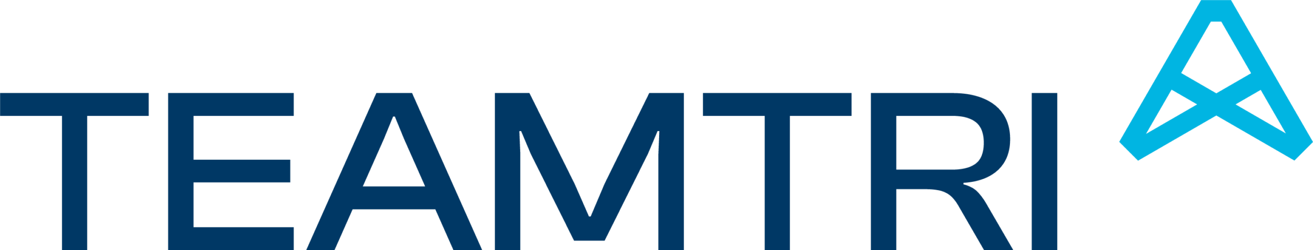 TeamTri logo
